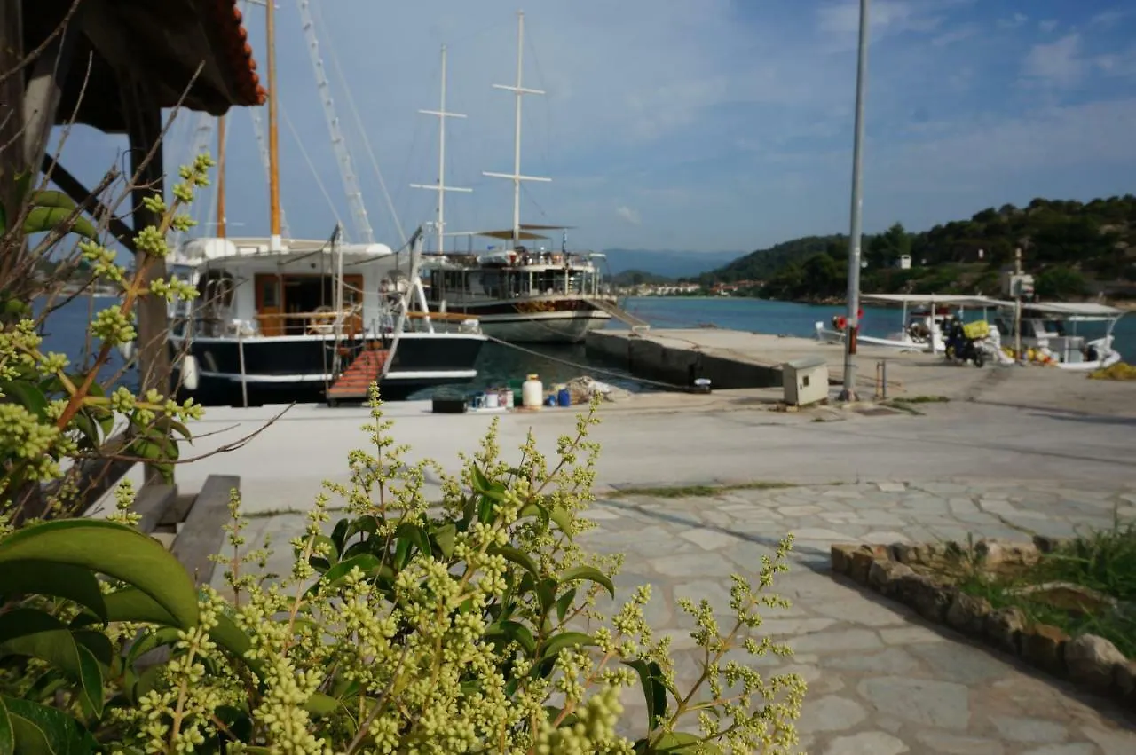 Magnolia Apartment Agios Nikolaos   Agios Nikolaos (Chalkidiki)